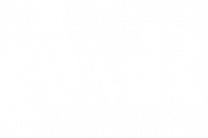 AVMR logo wh